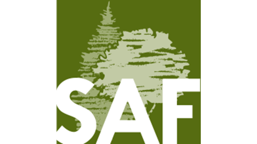 Saf