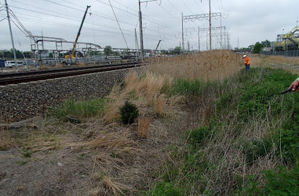 AMTRAK Trackside Network
