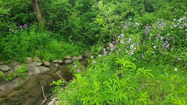 Project Profile Geauga Park Sideimage 608X341