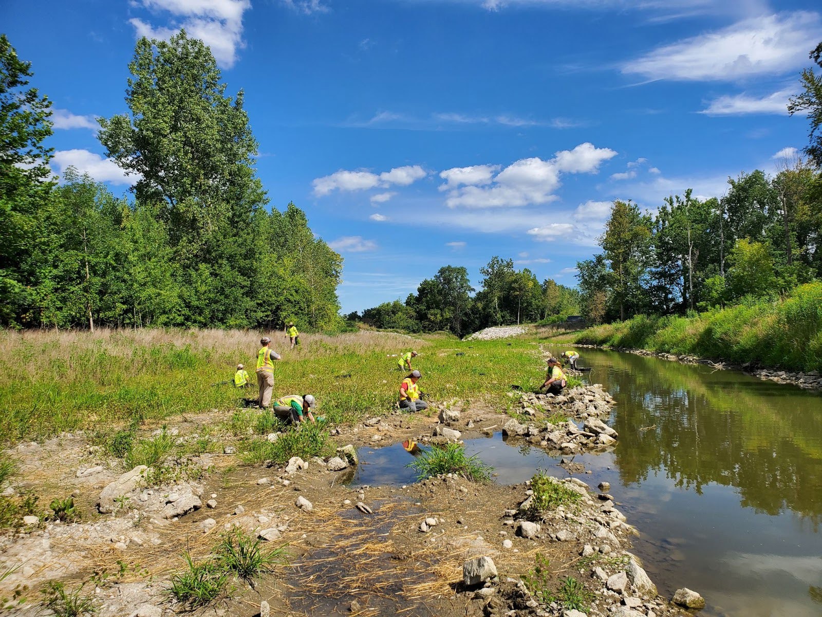 Ecological Restoration And Invasive Species Management