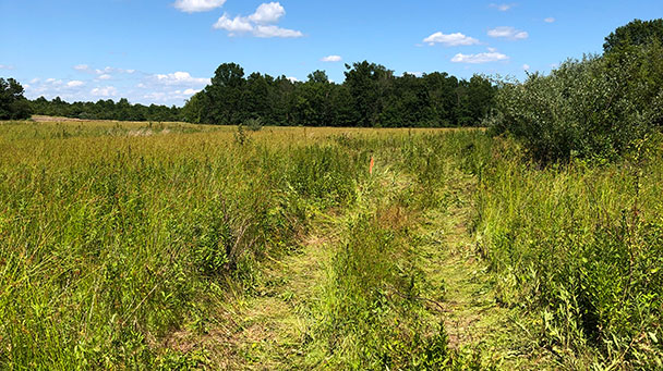 Project Profile Montgomery Township Nj Eder 0722 Sideimage 608X341