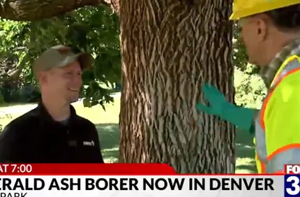 Screenshot 2025 07 02 145137