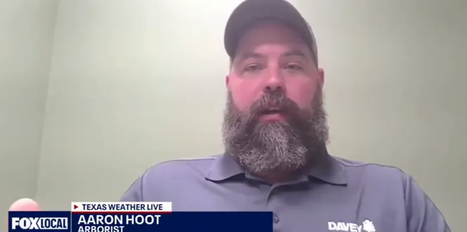 Screenshot 2025 10 30 135407