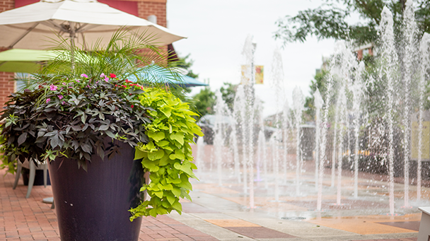 Villageatleesburg Sideimage2 608X341