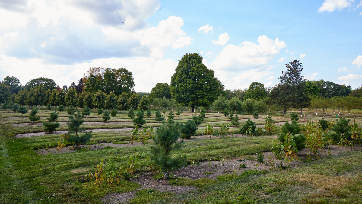 DI 0171 1201X675 128554E (1)