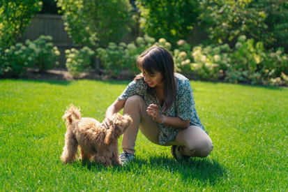 Homeowner with dog in backyard