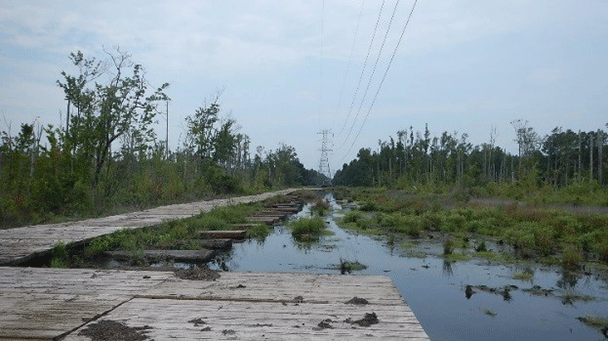 Dom Compliance Side Image