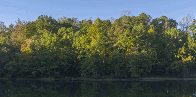 Tc Energy Banner 1440X500