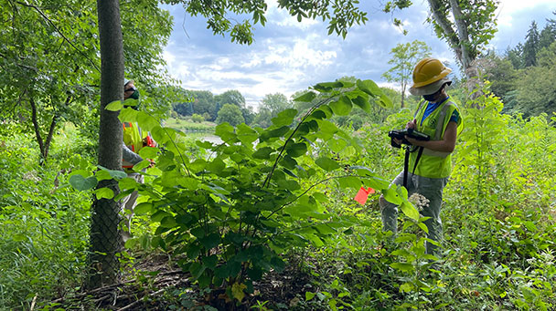 Environmental Pp Chicago Morton Arboretum Sideimage 608X341