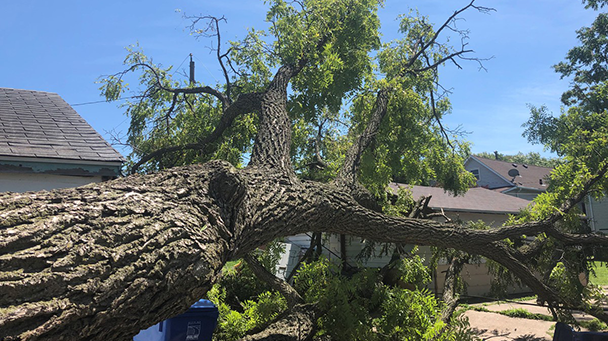 Utility Css Baldwin Emc Sideimage2 608X341