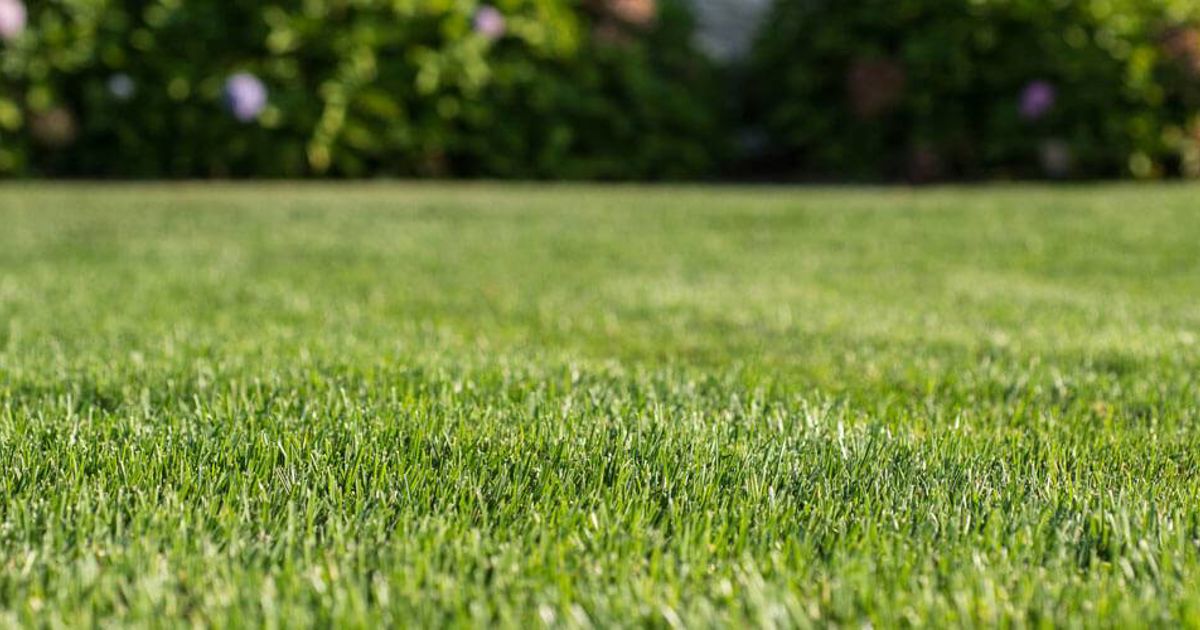 Lawn Cutting Covina, CA