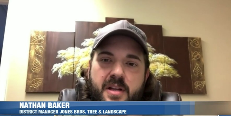 3 ways to check your trees for signs of life Davey Tree