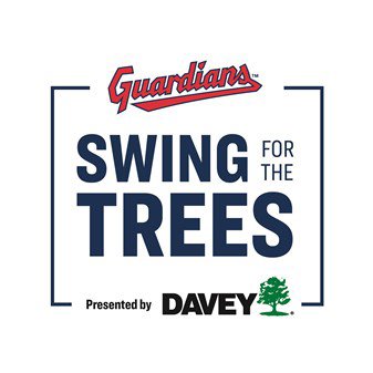 Swing for the Trees logo