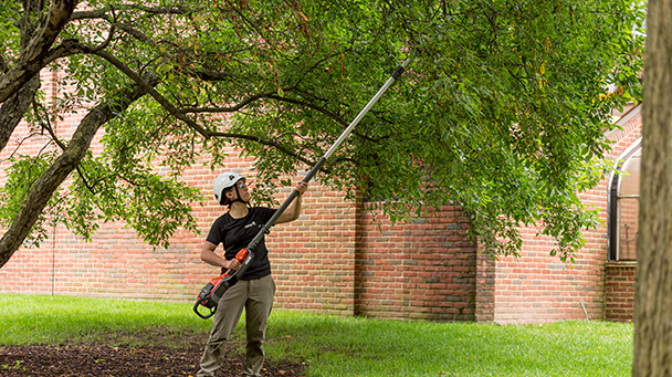 Commercial Blog Protecting Your Green Investments With A Plant Health Care Program Sideimage3 608X341