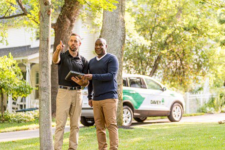 arborist and homeowner looking at tree