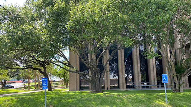 Project Profile Integral Tree Care Assessment Sideimage 608X341