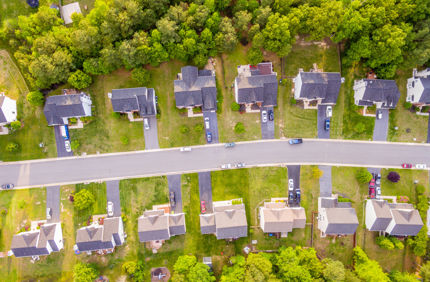 Tree Lined Neighborhood
