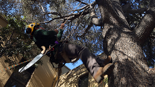 Rcsd Sideimage2 608X341