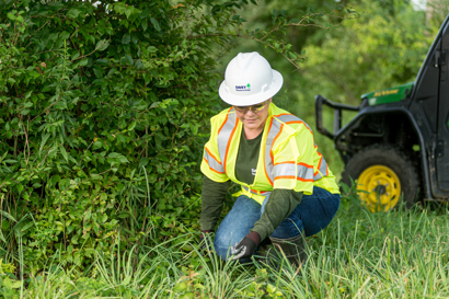 A woman in a vest and a hard hat crouches down to inspect vegetation.