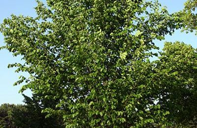 4573116D F130 49F7 Aa88 0E57bc607fd9