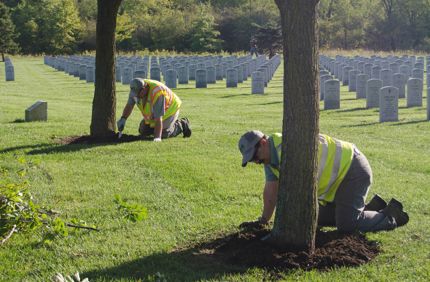 planting in cemetery