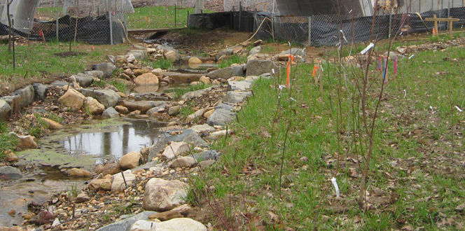 Project Profile Arlington National Cemetery Banner 1440X500