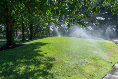 A green, healthy lawn being watered by lawn sprinklers with trees in the background.