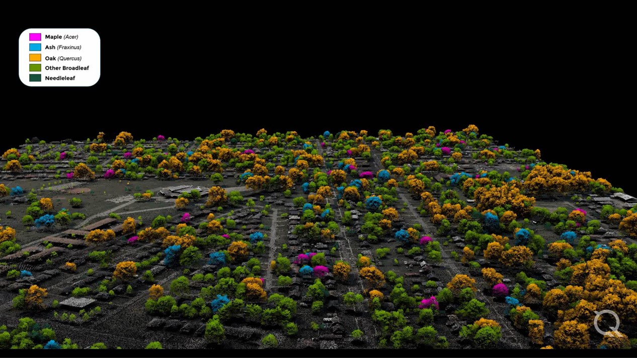 GIS and Remote Sensing Services