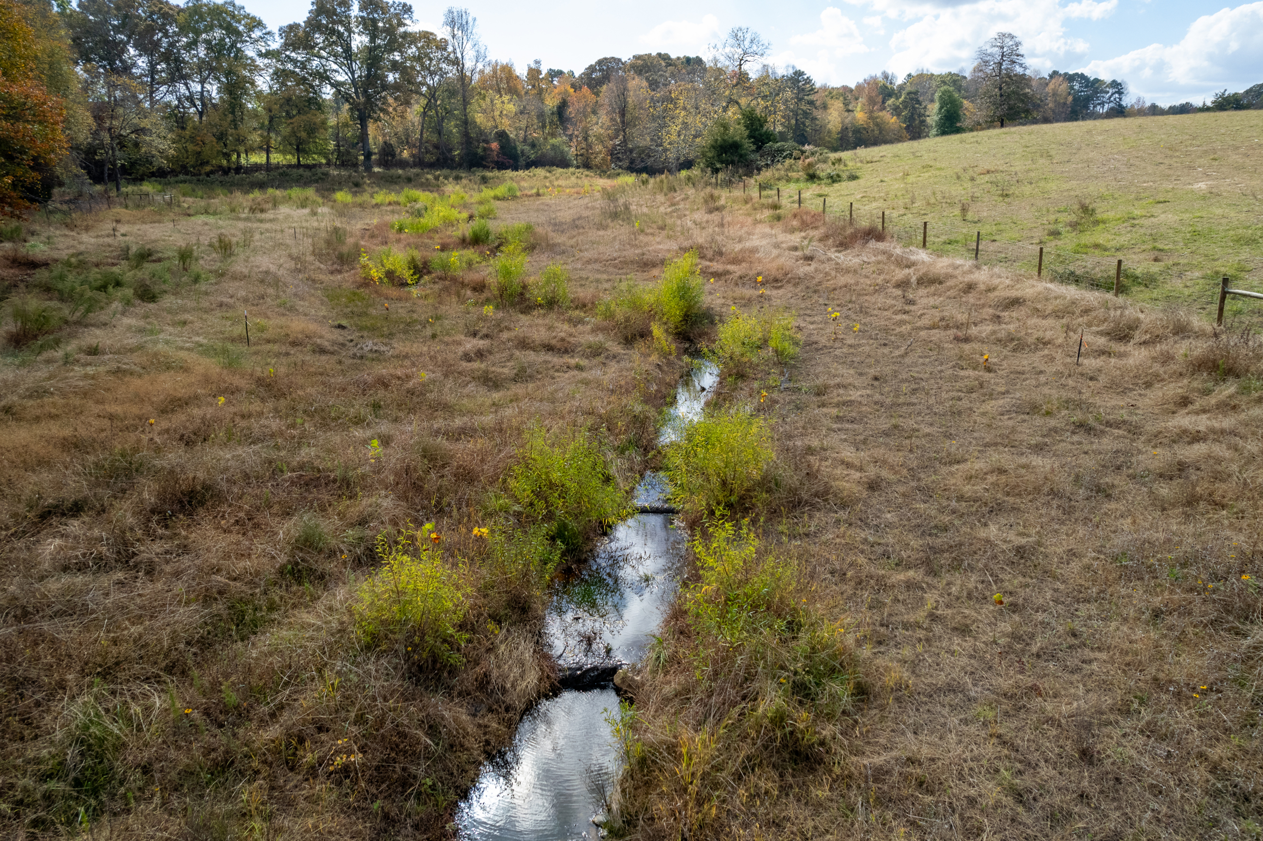 Land Stream