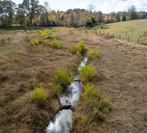 Land Stream