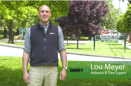 Lou Meyer (1)