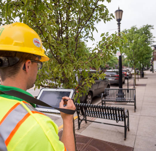 Tree Inventory