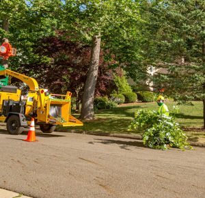 FAQ Utility Line Clearance vs Homeowner | Davey Tree