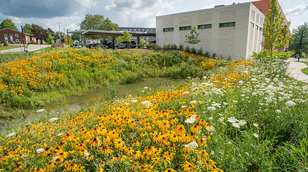 Sustainable Landscape Design The Benefits Key Principles