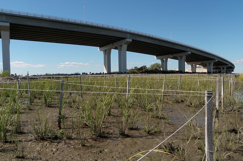 Project Profile Nj Route 52 Causeway Replacement Project Thumbnail 800X532