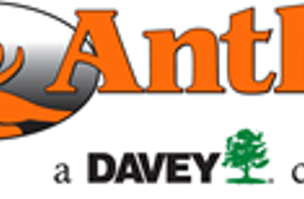 Antler Logo