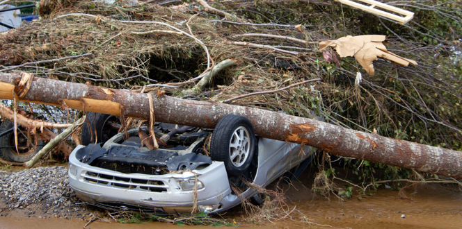 Adobestock 1432206203