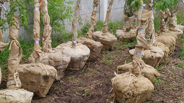 Project Profiles Mdot Mi Sideimage2 608X341