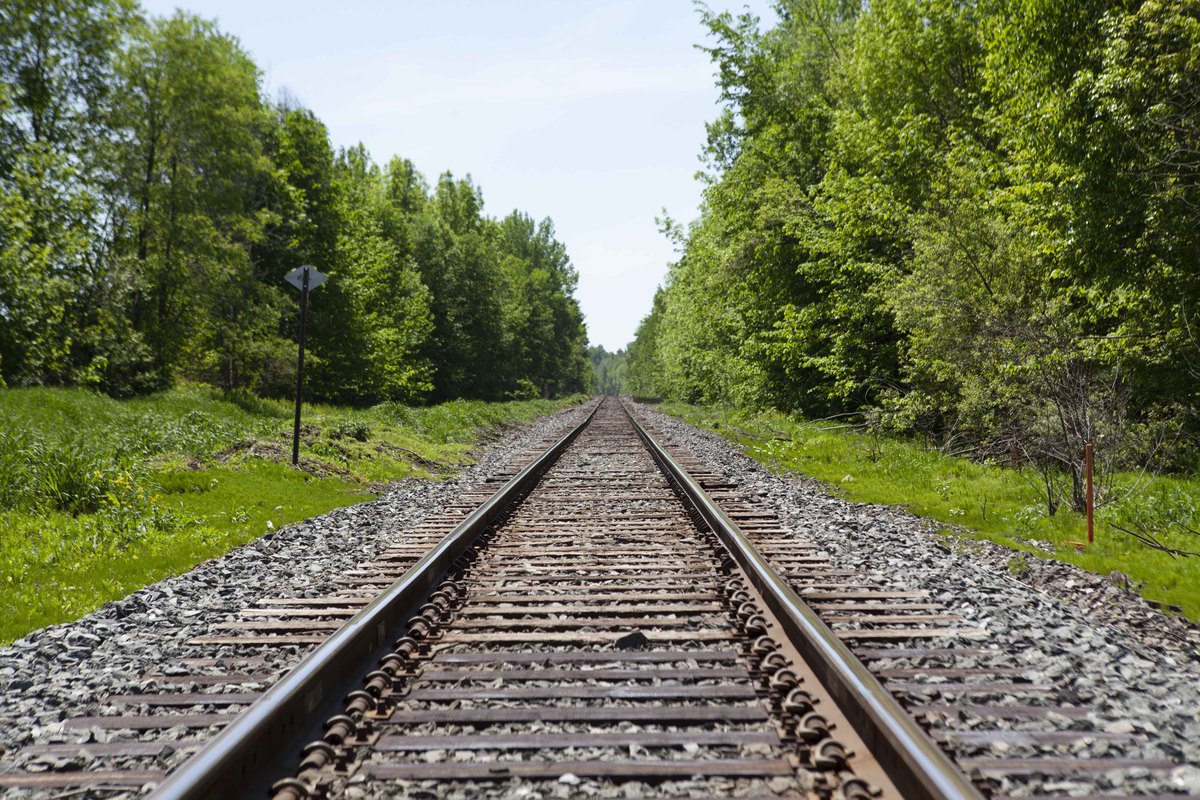 Microsoftteams Image (2).Png