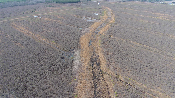 Rutman Project Profile Sideimage3 608X341