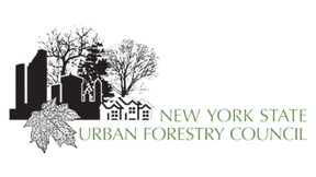 Nysufc Logo Hires