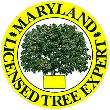 Md Tree Expert