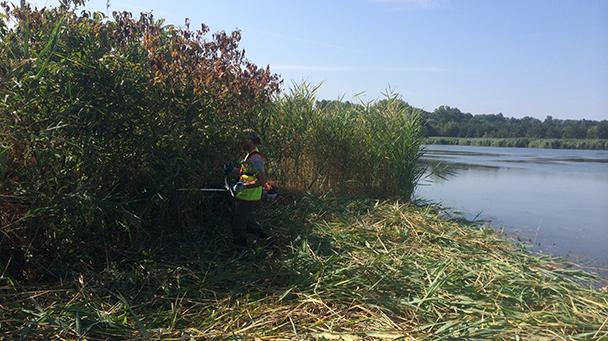 Environmential Project Profile Ashtabula Sideimage3 608X341