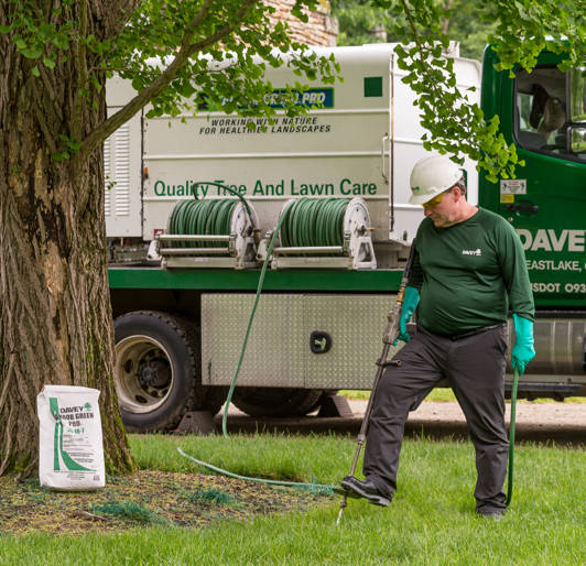 Tree Fertilization