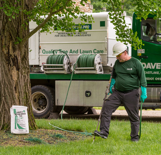 Tree Fertilization