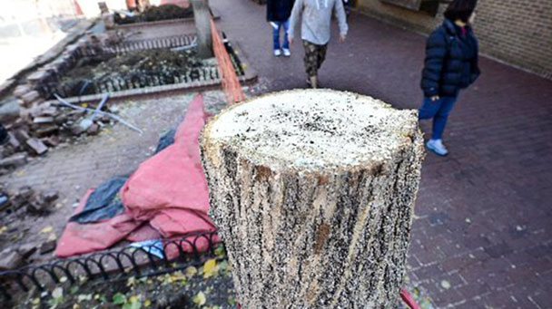 Project Profiles Boulder Sideimage3 608X341