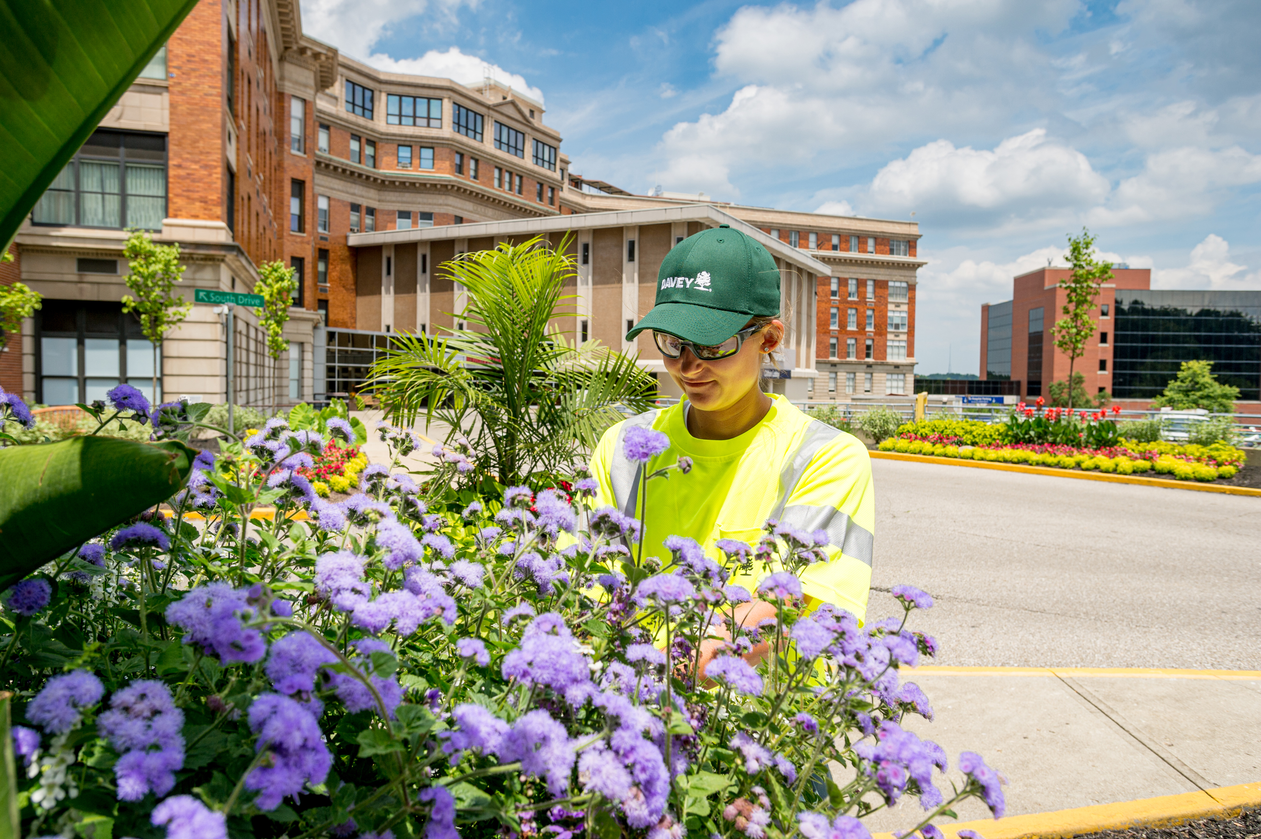 Landscape Enhancement Service