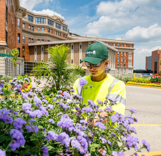 Landscape Enhancement Service