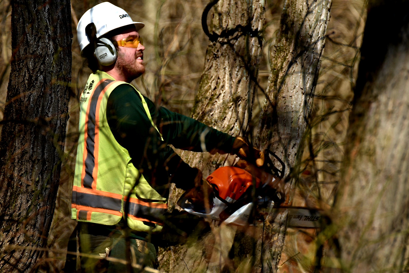 DRG Used Mowers, Chainsaws, And Brushcutters To Remove Woody Invasives From Lawrence Creek Nature Preserve