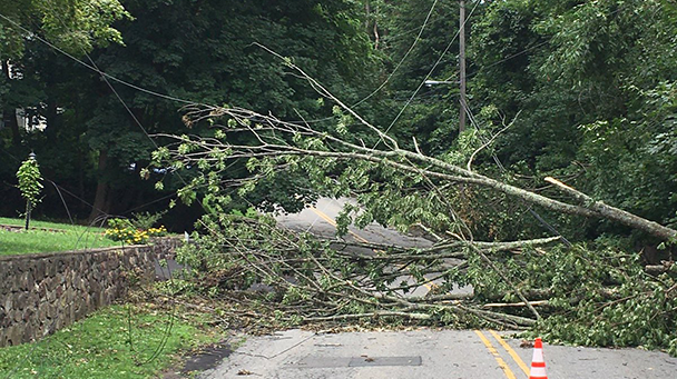 Isaias Sideimage 608X341